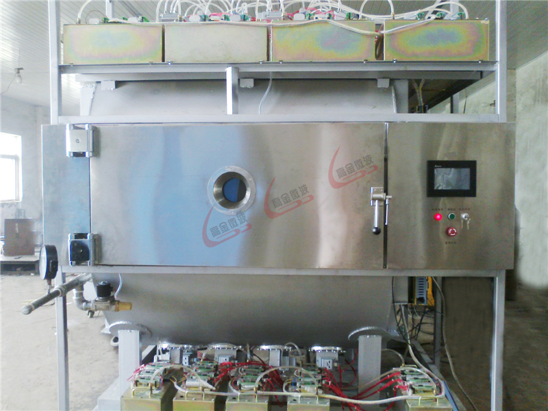 GJWB25S-5Z微波真空干燥设备